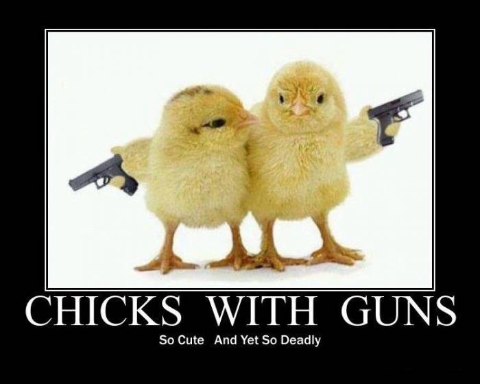Cute gun sign - Chicks with guns, so cute yet so deadly. http://www.lbsommer-author.yolasite.com/gun-signs.php