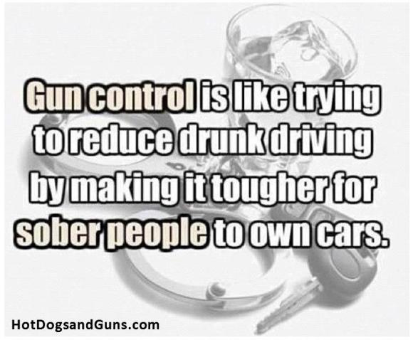 Gun control is like trying to reduce drunk driving by making it tougher for sober people to own cars.