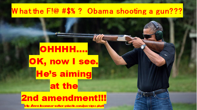 Funny sign showing Obama aiming at the second amendment http://www.lbsommer-author.yolasite.com/gun-signs.php