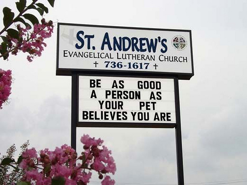 Funny church sign - be as good as your pet believes you are.